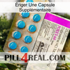 Ériger Une Capsule Supplémentaire new07